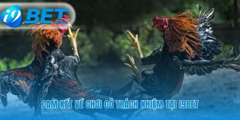 Sự an toàn của bạn tại sảnh đá gà i9Bet