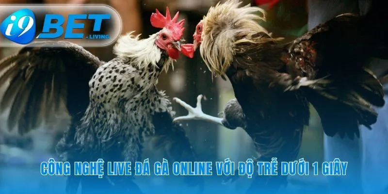 Công nghệ live đá gà online sắc nét tức thì