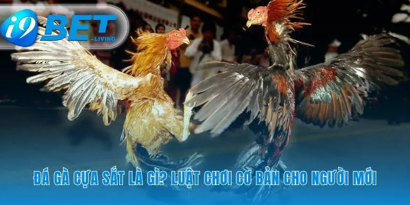Giải mã các những trận chiến tốc độ