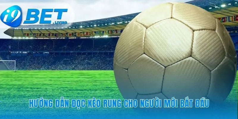 Giải mã ngôn ngữ biến động của bảng cược trực tiếp